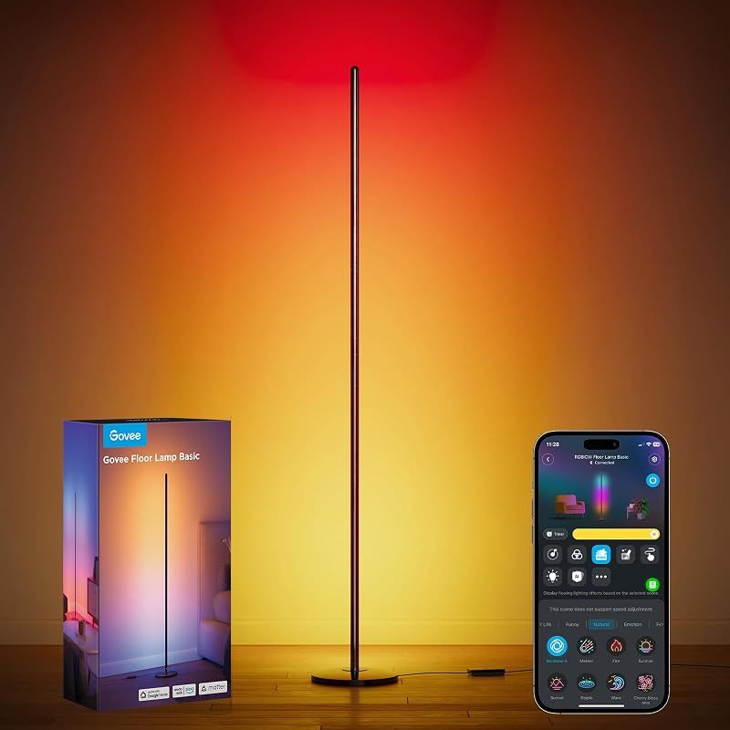 RGBIC Floor Lamp Basic