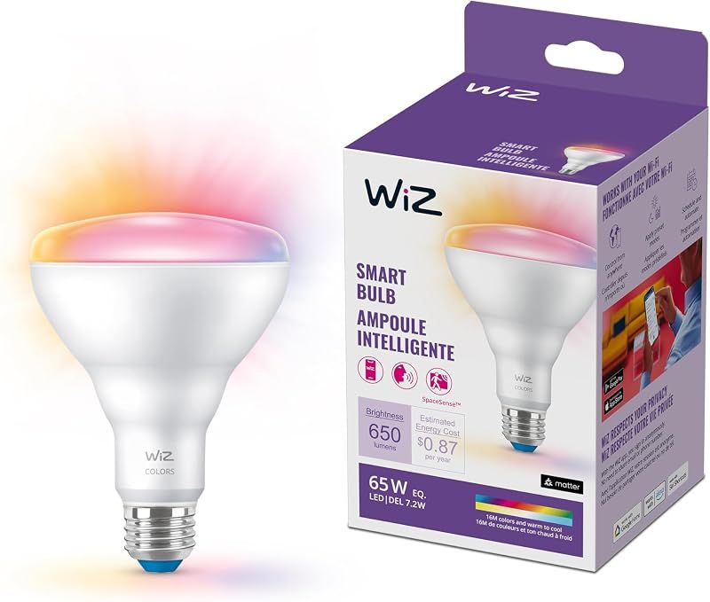 WiZ Color BR30 Bulb