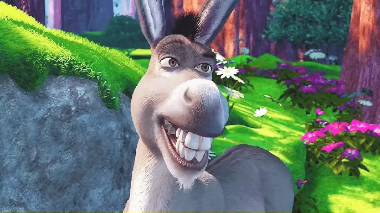 Donkey